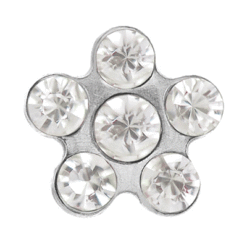 Chrystal Palladiumweiß